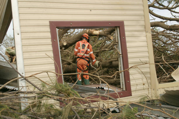 Best Tree Risk Assessment  in USA